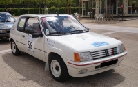 ☑ Peugeot 205 Rallye